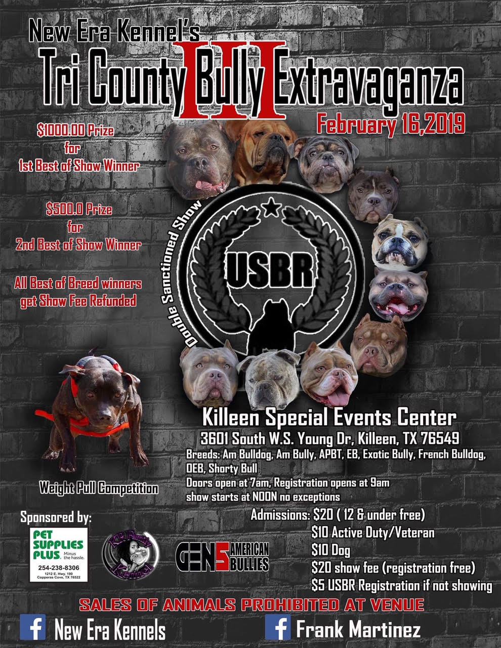 Tri County Bully Extravaganza III Show